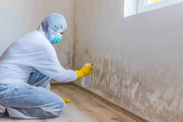 Hvac And Air Duct Mold Remediation inspection of HVAC system in Rhodesdale