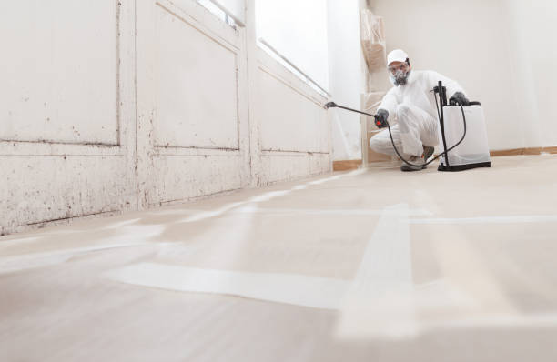 Black mold remediation team in Rhodesdale